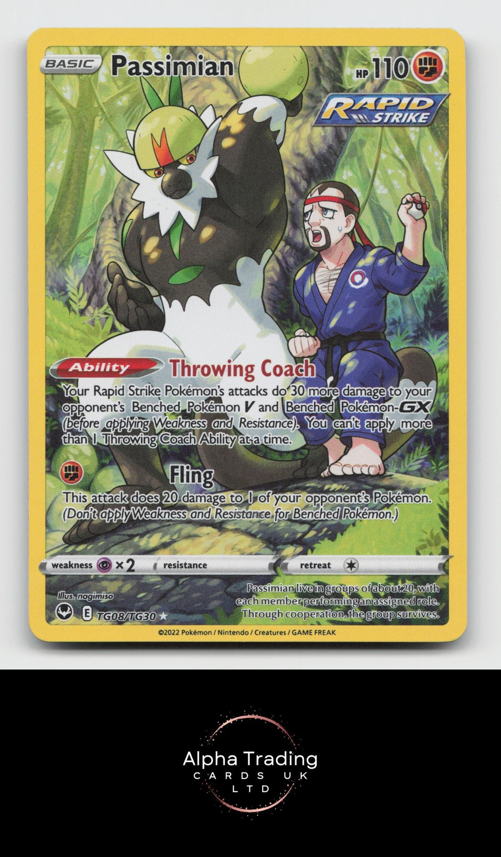 Passimian TG08/TG30 Holo Silver Tempest Trainer Gallery Pokemon NM