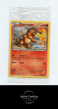 Pokemon TCG Charmander - 17/113 (Build-A-Bear Workshop Exclusive) - SEALED
