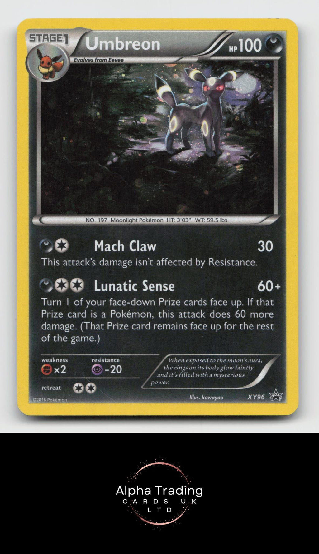 Umbreon XY96 Holo Promo XY Promo Pokemon Lightly Played