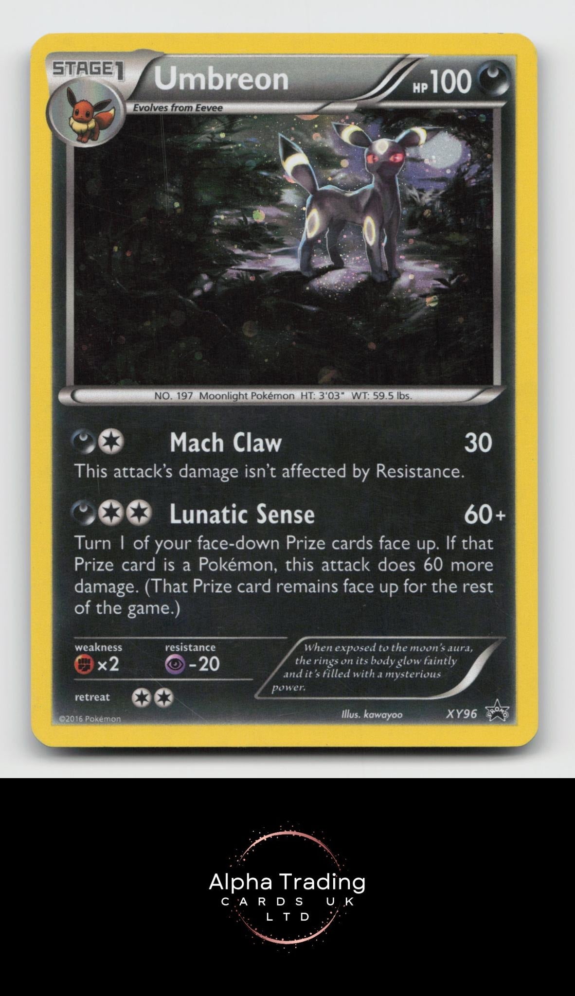 Umbreon XY96 Holo Promo XY Promo Pokemon Lightly Played