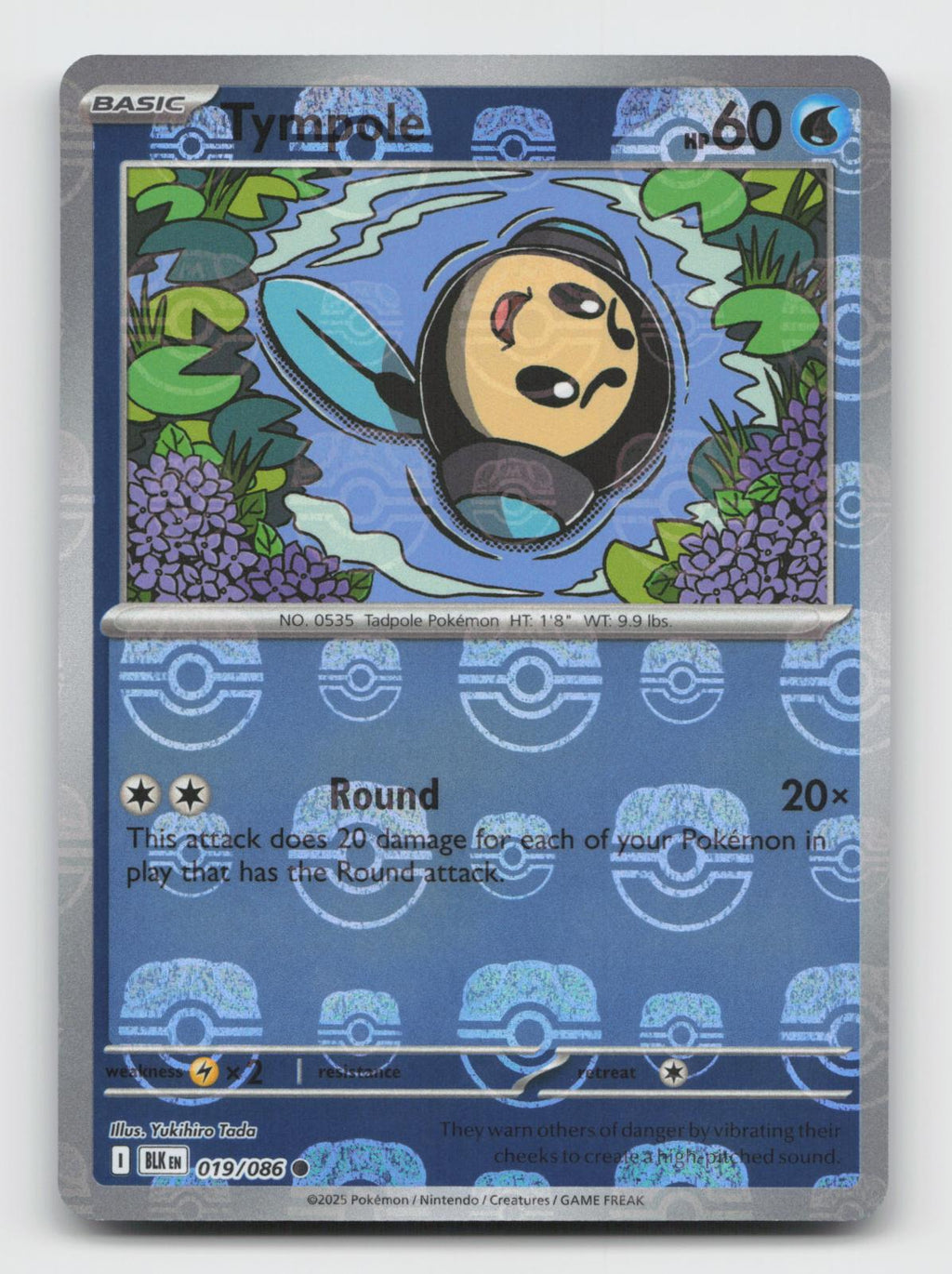 Tympole (Master Ball Pattern) 019/086 Common Black Bolt Pokemon Holo Near Mint