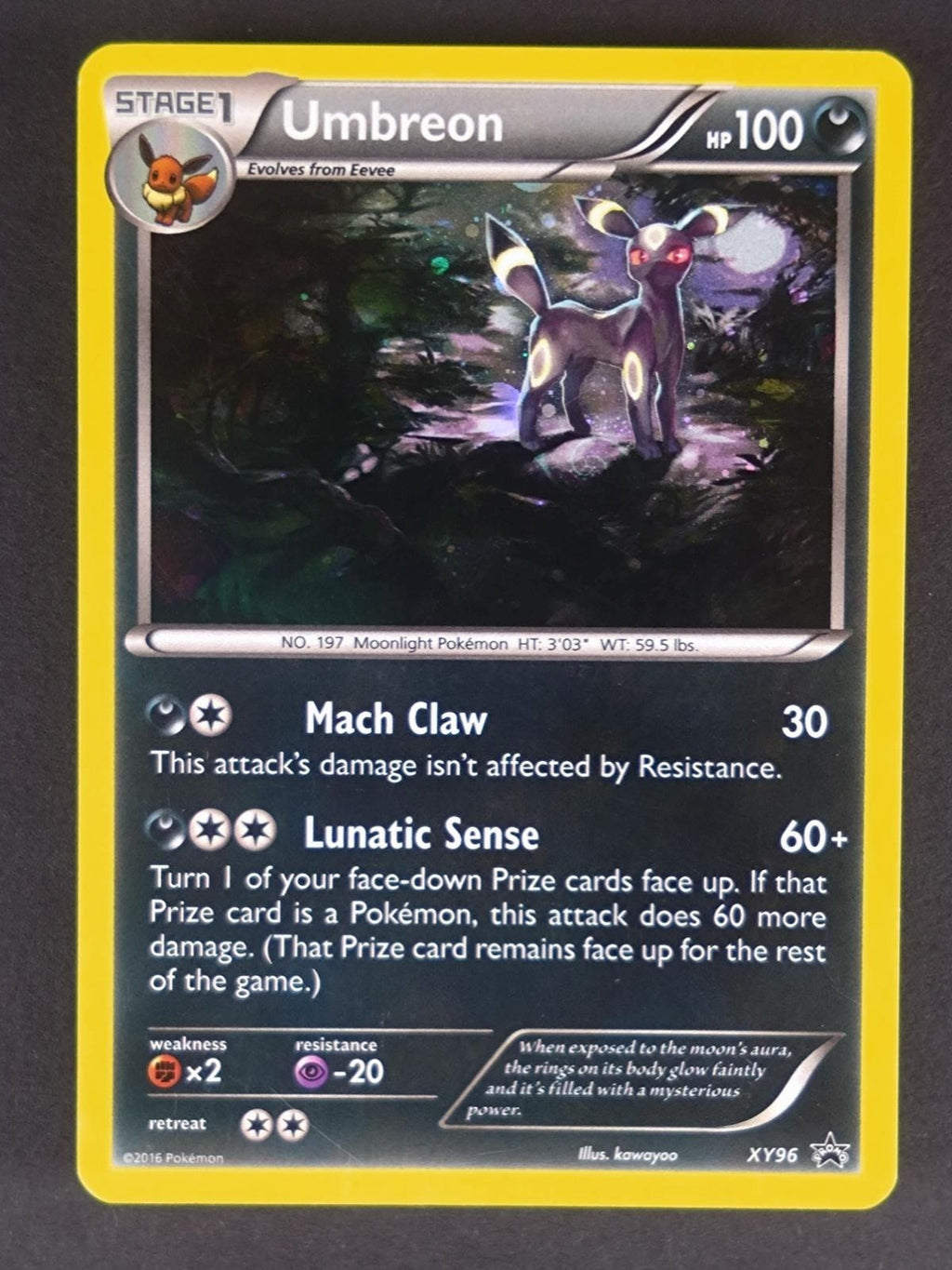 Umbreon XY96 Holo Promo XY Promo Pokemon Holo Lightly Played