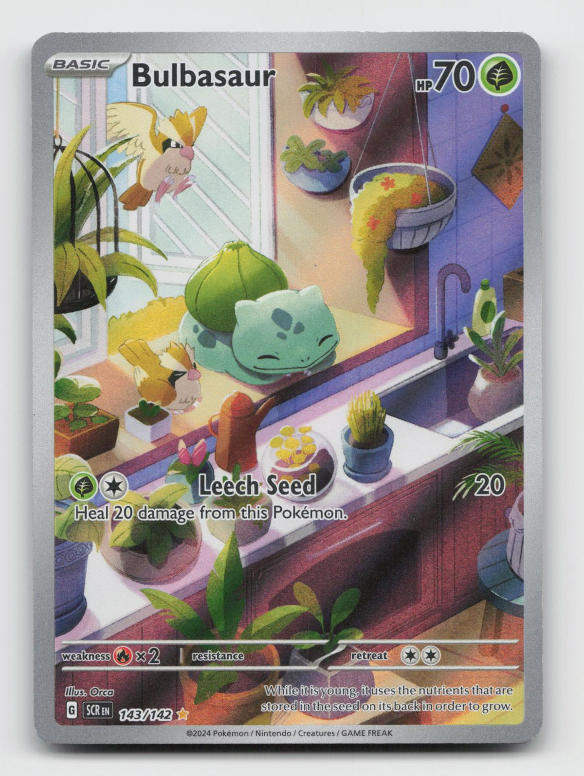 Bulbasaur 143/142 Illustration Rare Stellar Crown Pokemon Holo Near Mint