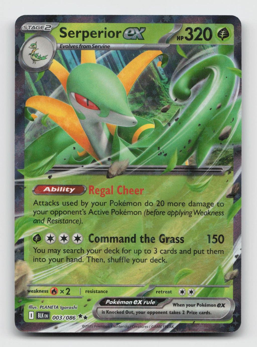 Serperior ex 003/086 Holo Ultra Rare Black Bolt Pokemon Near Mint