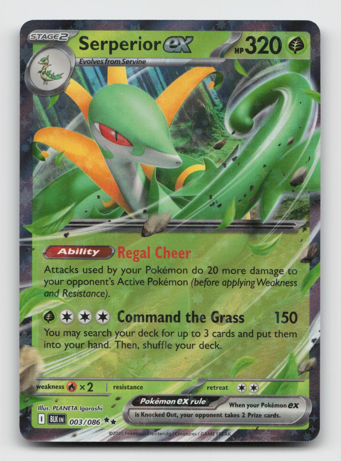 Serperior ex 003/086 Holo Ultra Rare Black Bolt Pokemon Near Mint