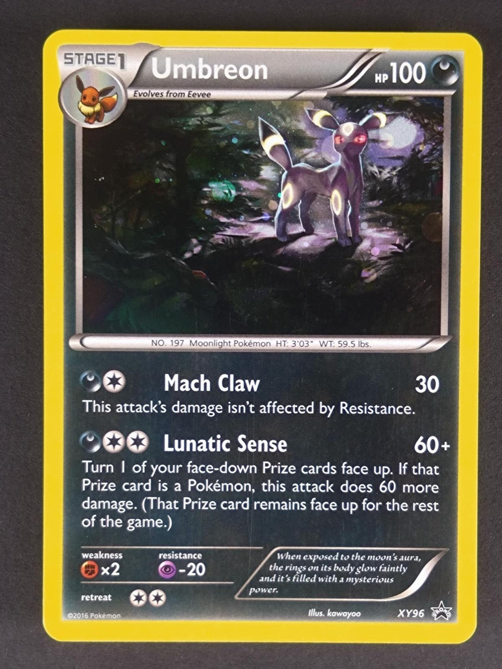 Umbreon XY96 Holo Promo XY Promo Pokemon Holo Lightly Played