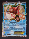 Gyarados EX XY106 Holo Promo XY Promo Pokemon Holo Near Mint